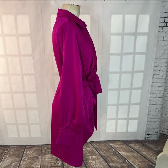 Fashion Nova Fuchsia Long Sleeve Dress - Picture 8 of 13
